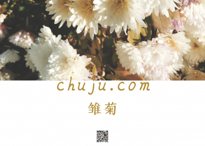 chuju.com